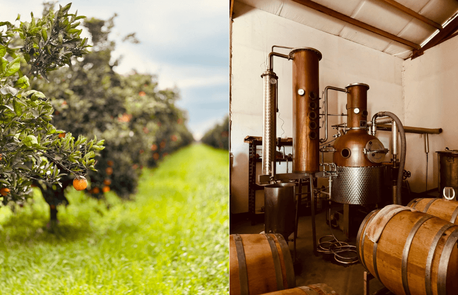 Marian Farm and Distillery, CA