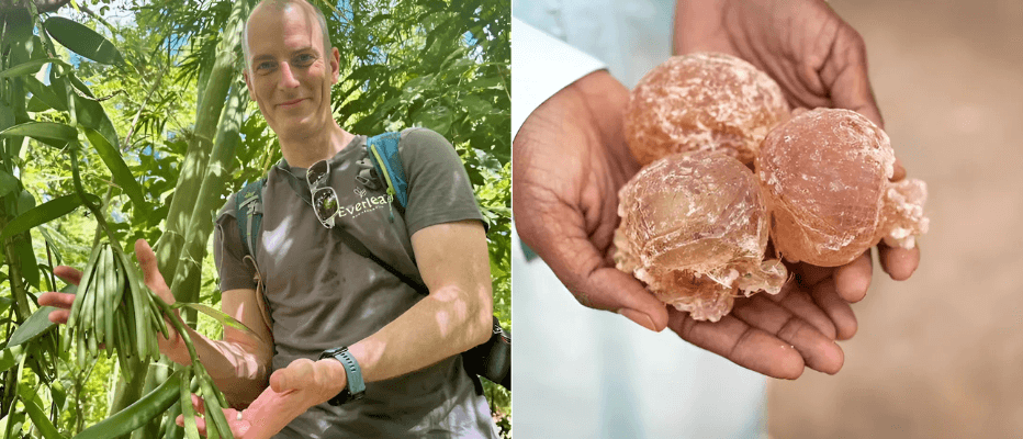 (Left) Paul with the Vanilla plant, Vanilla planifolia, and (Right) Acacia Gum