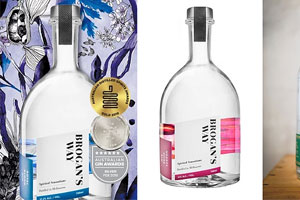 Brogan's Way and Green Ant Gin Win Silver at London Spirits Competition