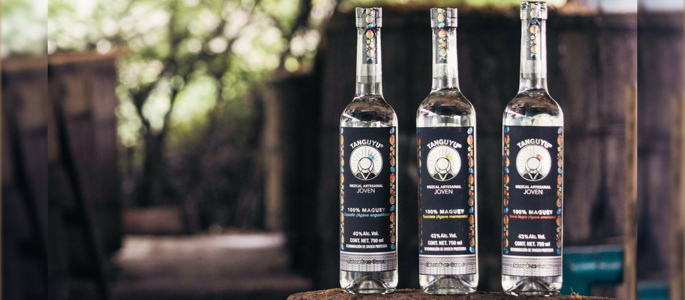 Photo for: From Oaxaca to the World: Why Mezcal Is the Next Big Craft Spirit Trend