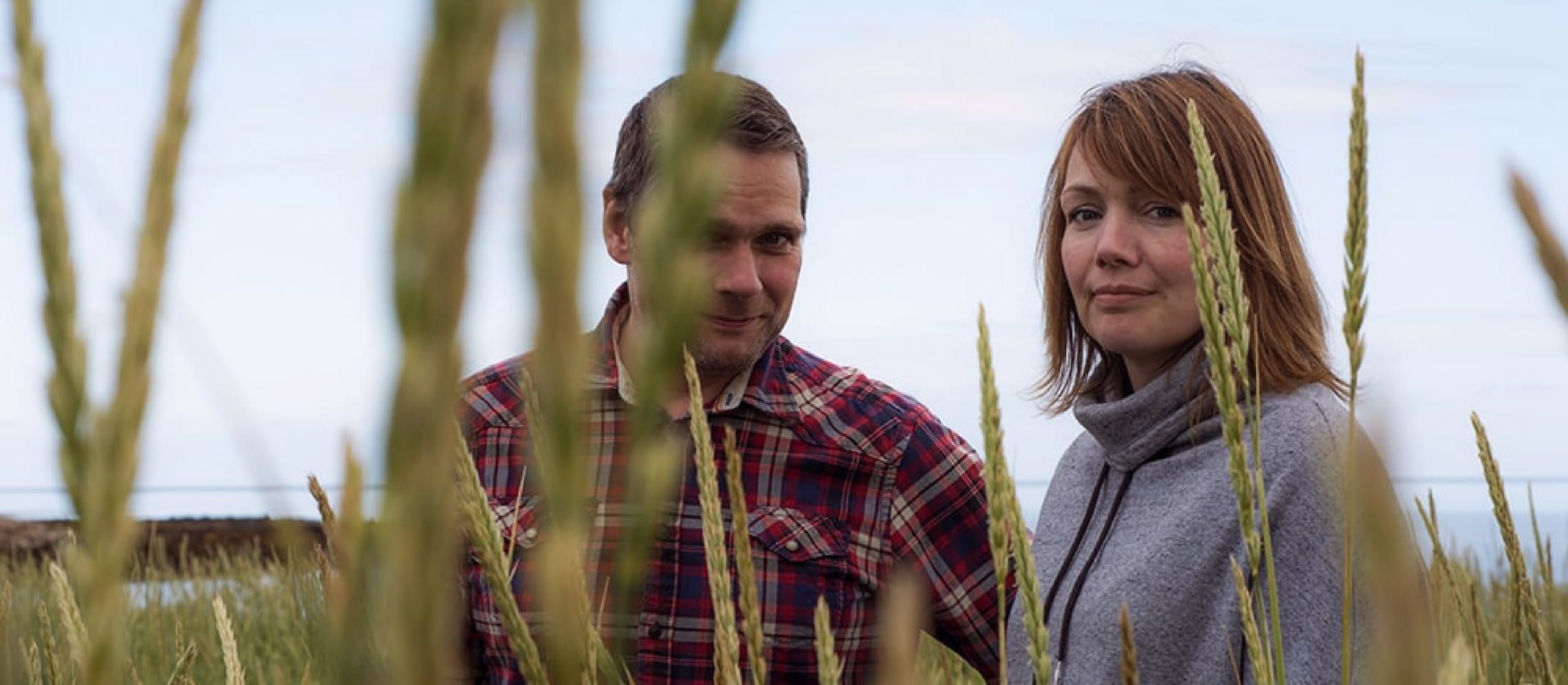 Photo for: Orkney Gin Company Wins at the London Spirits Competition