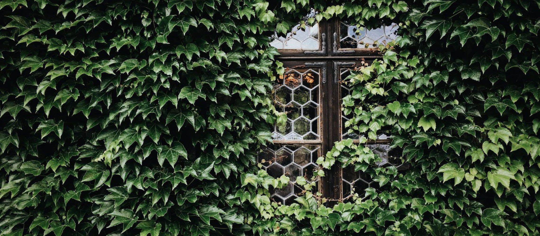 Photo for: Spirits & Beer Brands – UK Distribution - Finding the Niches