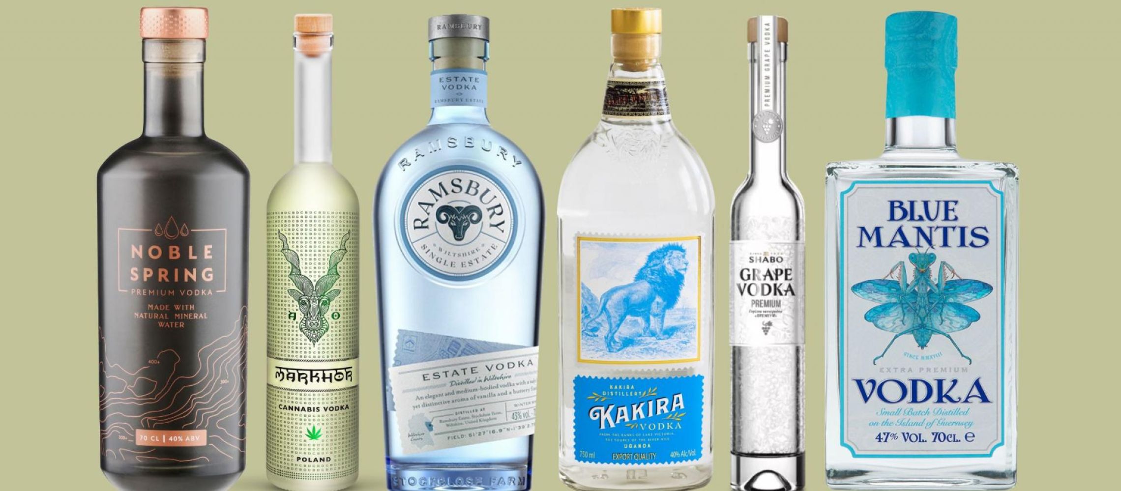 Photo for: The Top 8 Vodkas for Making Vodka Martinis