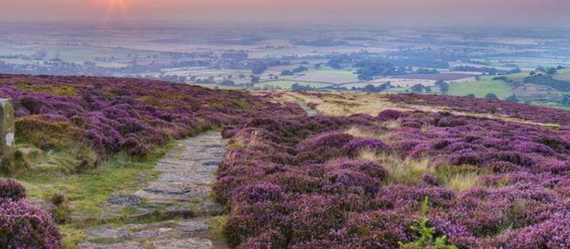 Photo for: Hand Crafted Gin Made In The Heart Of Rural Northumberland