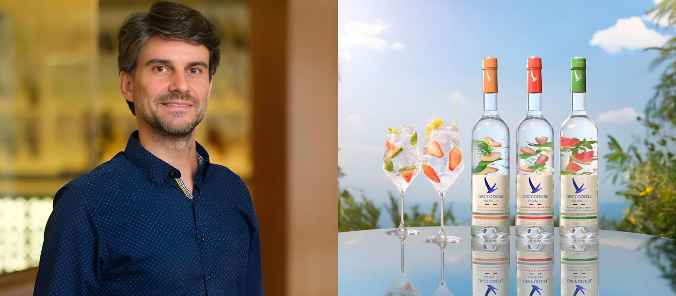 Photo for: Vive La Grey Goose: Martin de Dreuille