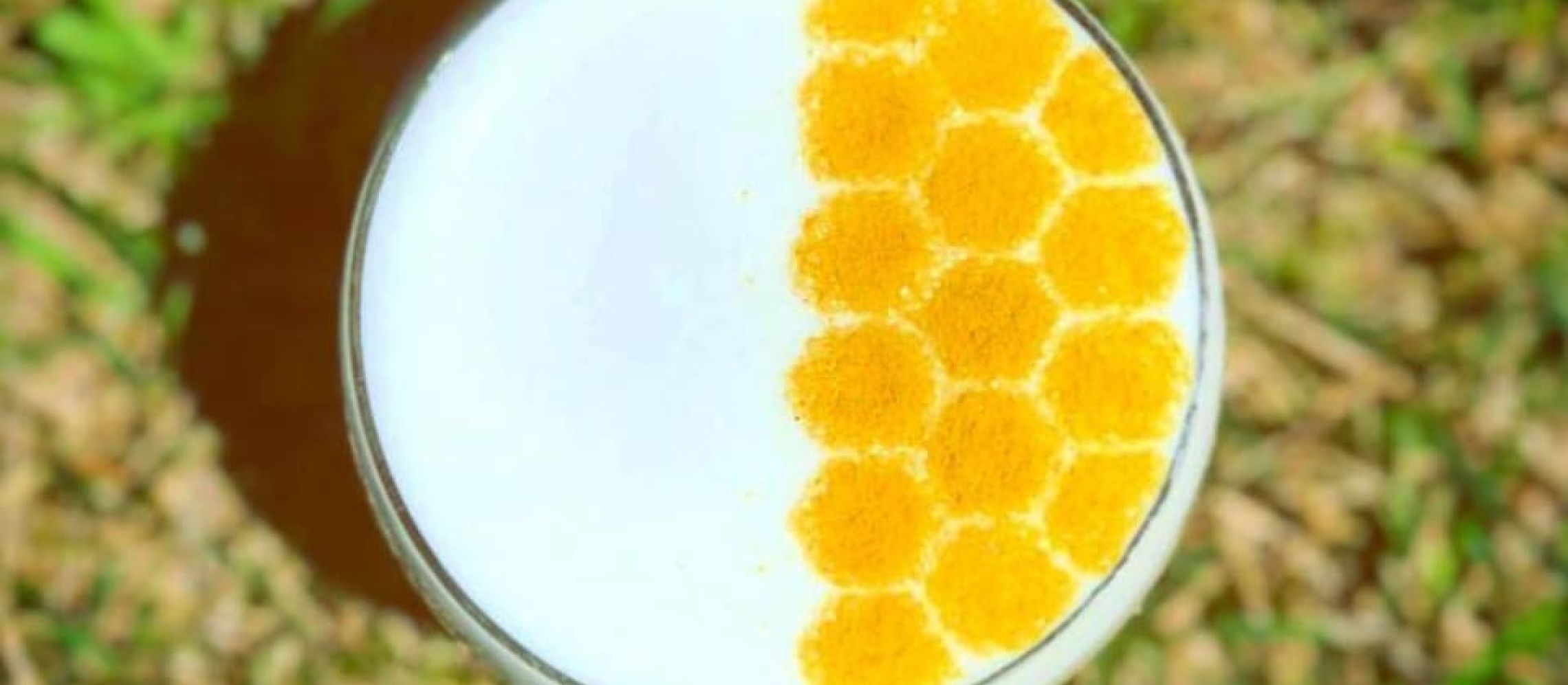 Photo for: Caledonia Spirits- Land Crafted in the Heart of Vermont