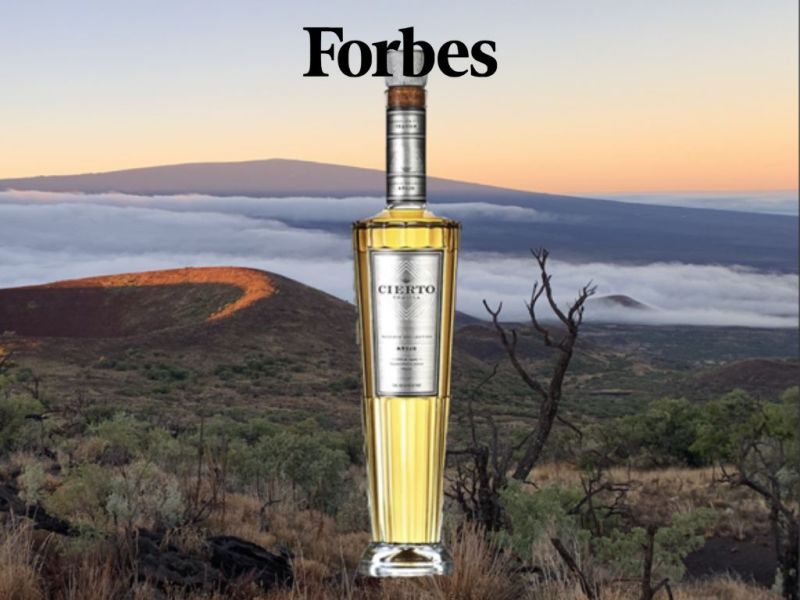 Photo for: The World’s Best Tequila—According To The 2024 London Spirits Competition