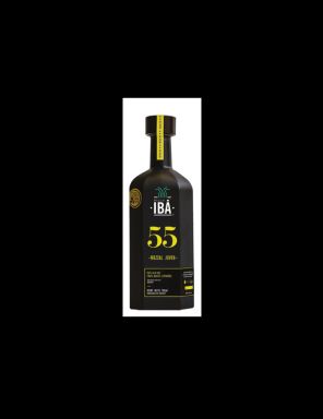 Logo for: IBA 55