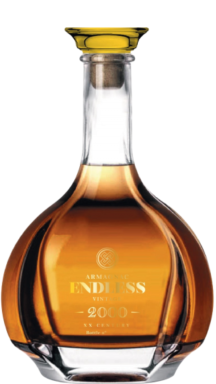 Logo for: Endless Vintage 2000 Xx Century