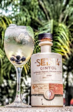 Logo for: Brand: Seis14- Product name: Gintol