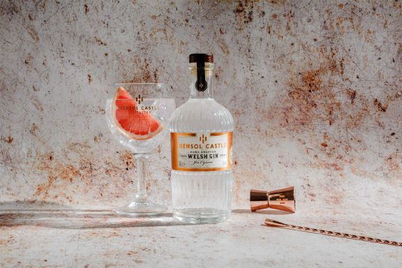 Logo for: Hensol Castle Welsh Dry Gin