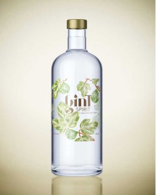 Logo for: GinT Spirit