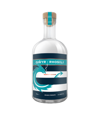 Logo for: Gŵyr Rhosili: Nerth y Ddraig / Dragon Strength