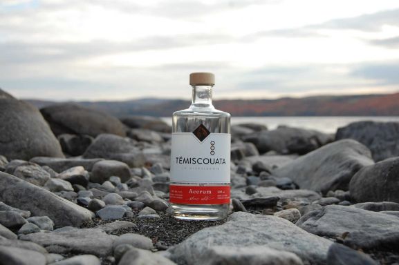 Logo for: Distillerie Témiscouata