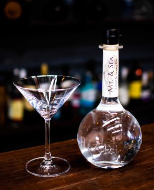 Logo for: Mt. & Sea Gin