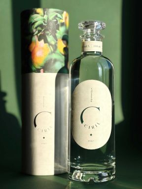 Logo for: Ciril Williams