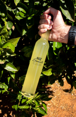 Logo for: 837 Limoncello