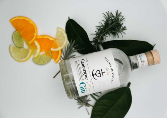 Logo for: Gin De Camargue