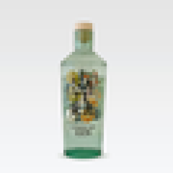 Photo for: Naturæ gin - Fructetum