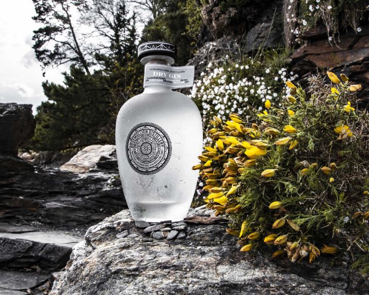 Photo for: Rosemullion Dry Gin
