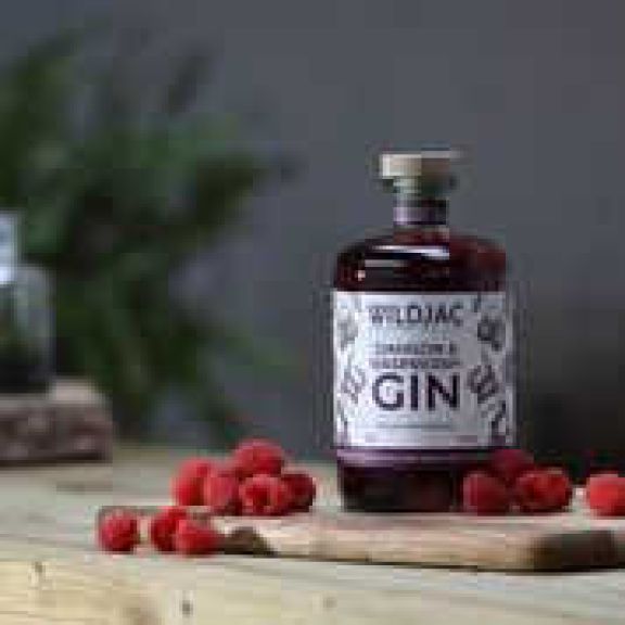 Photo for: Wildjac Damson and Raspberry Gin
