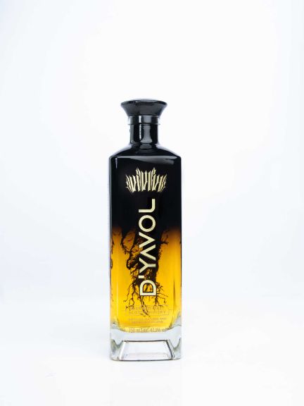 Photo for: D'yavol Inception