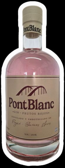 Photo for: gin pont blanc frutos rojos