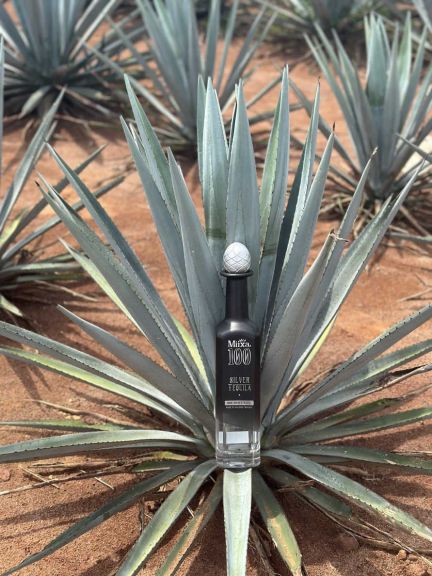 Photo for: Miixa 100 Silver Tequila