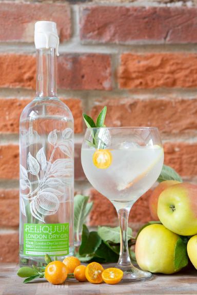 Photo for: Reliquum - London Dry Gin