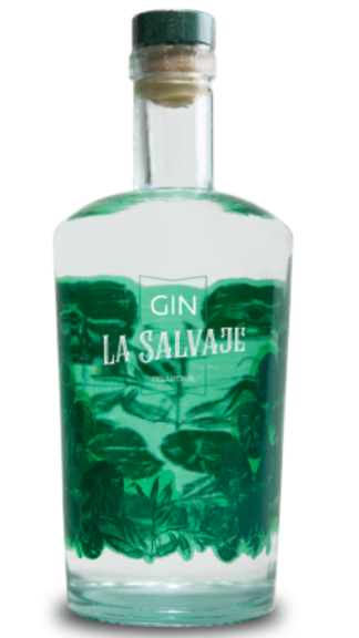 Photo for: La Salvaje del Litoral